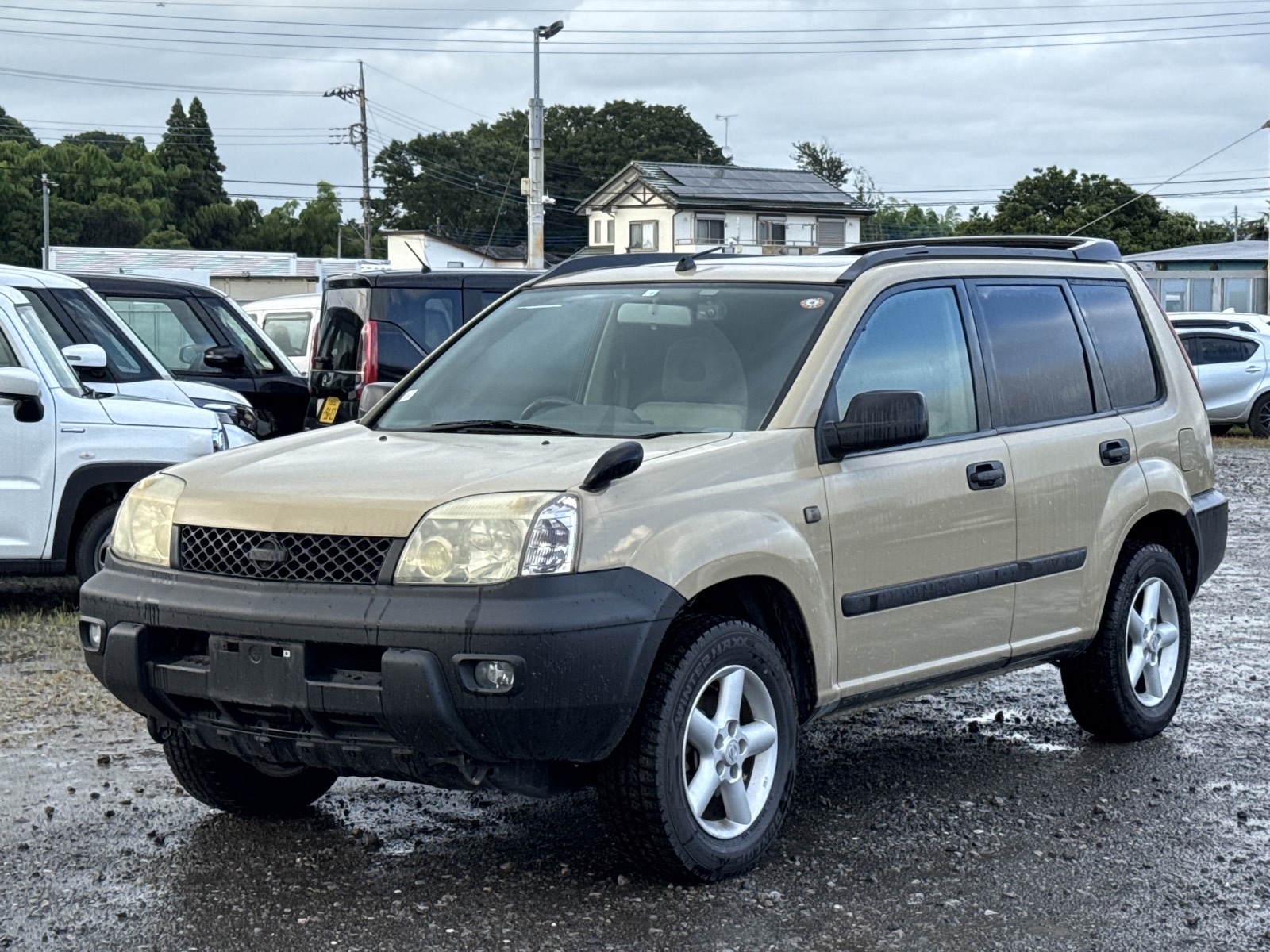 PHOTO-2025-06-25-22-15-52