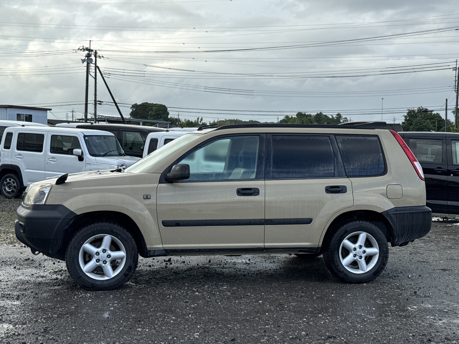 PHOTO-2025-06-25-22-15-52_1