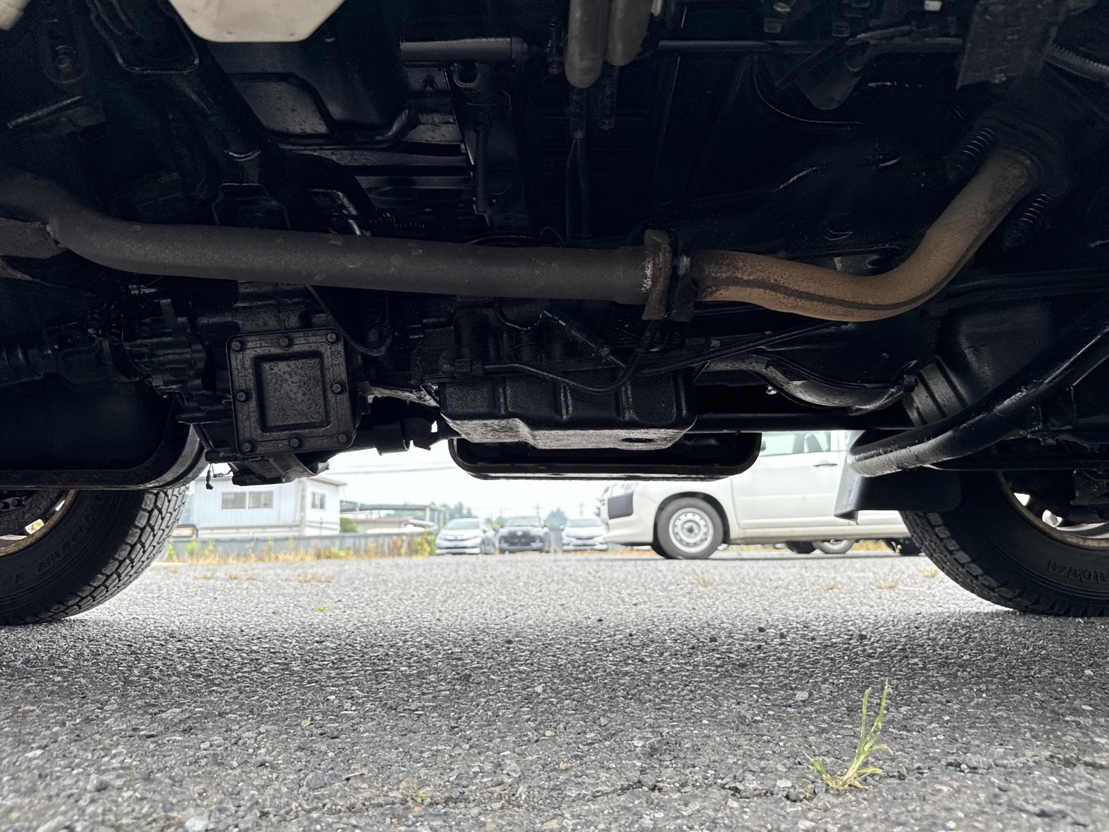 PHOTO-2025-07-22-04-06-46_1